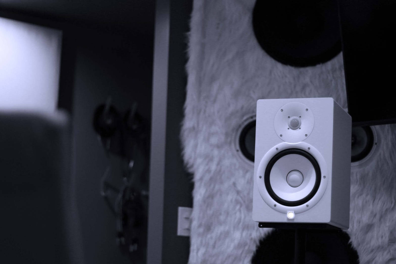 Speaker